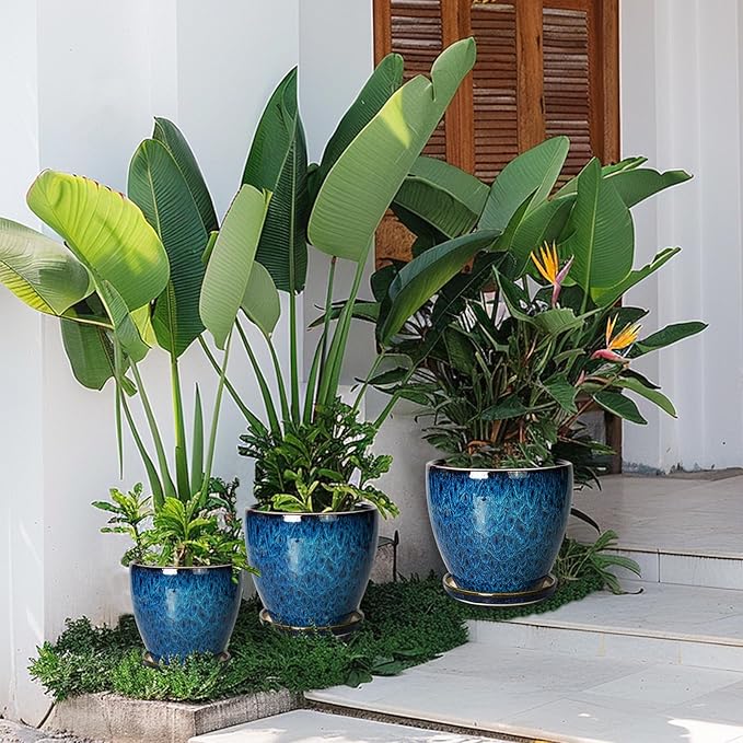8 Inch Ceramic Planter Pot