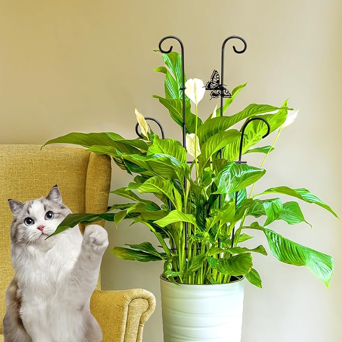 23in Plant Trellis Indoor, Trellis