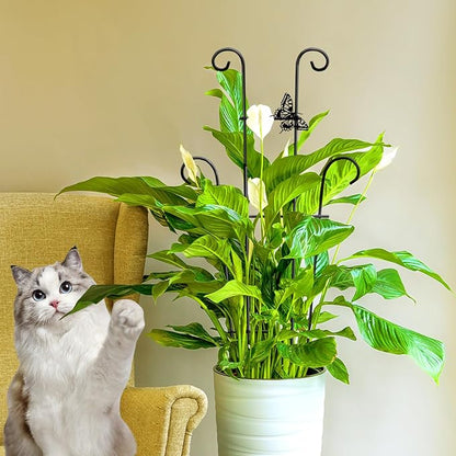 23in Plant Trellis Indoor, Trellis