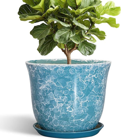 12 Inch Pots for Plants