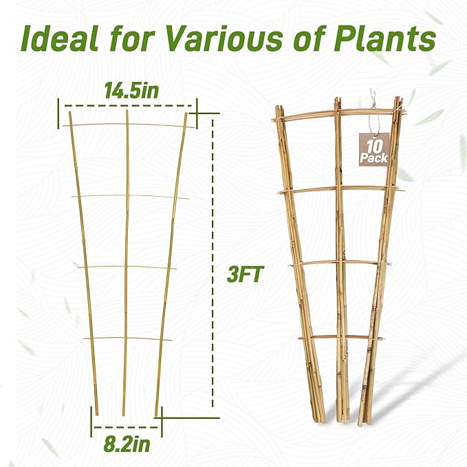 Avalution 10 Pack Bamboo Trellis