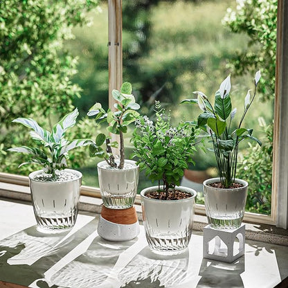 Self Watering Planters