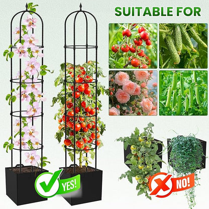 Garden Obelisk Trellis for Climbing Plants