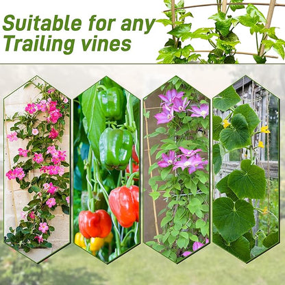 Avalution 10 Pack Bamboo Trellis