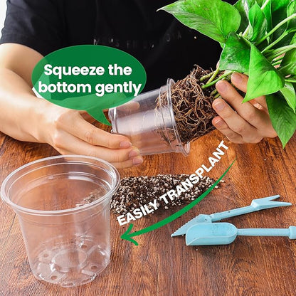 8 Packs 8 Inch Reinforced Large Clear Nursery Pots