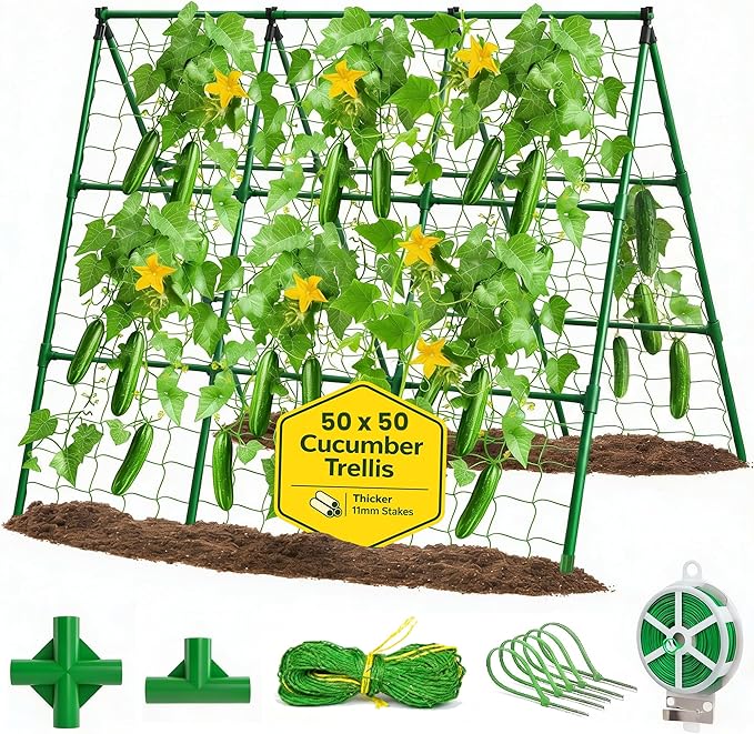 50x50 Cucumber Trellis for Raised Bed