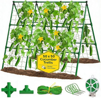 50x50 Cucumber Trellis for Raised Bed