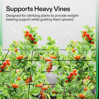 VIVOSUN 3 x 3Ft. Elastic Trellis Netting