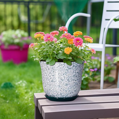 Ceramic Pots for Plants