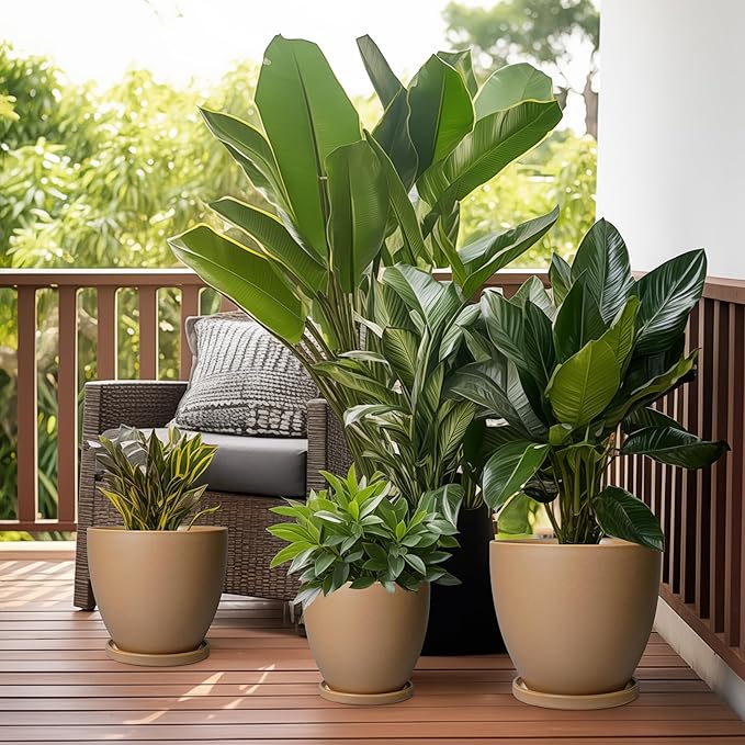 Ceramic Pots for Plants