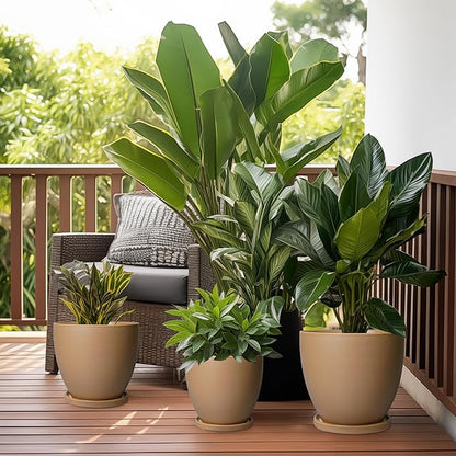 Ceramic Pots for Plants