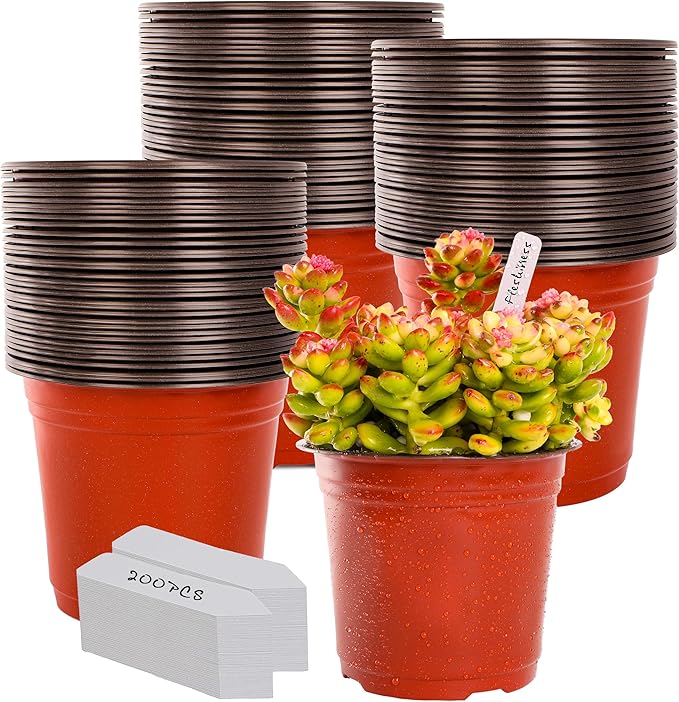TDHDIKE 6 Inch Plastic Plant Nursery Pot/Pots
