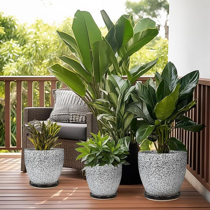 10 Inch Plant Pot