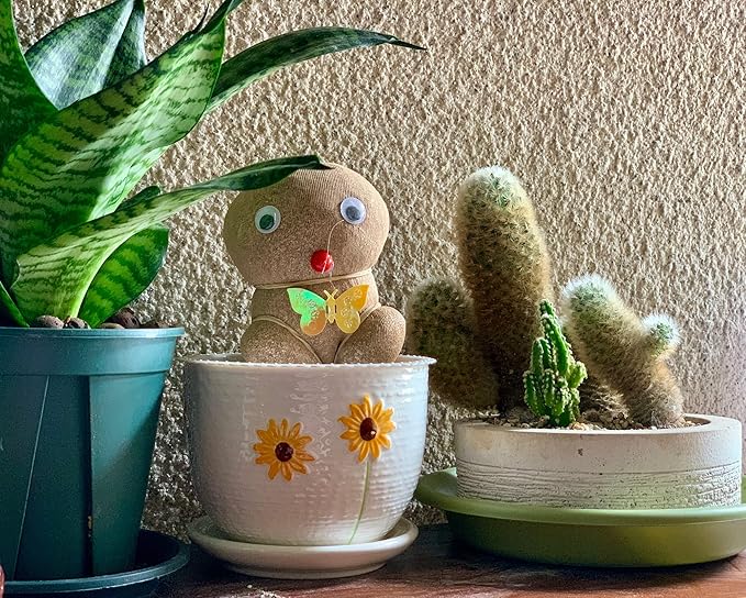 Ton Sin Plant Pots, 4+5+6 inch Pots