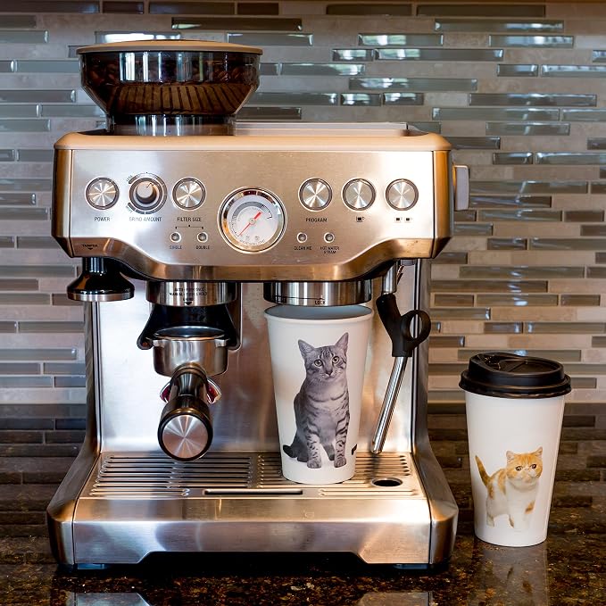 Youngever 72 Sets Disposable Coffee Cups