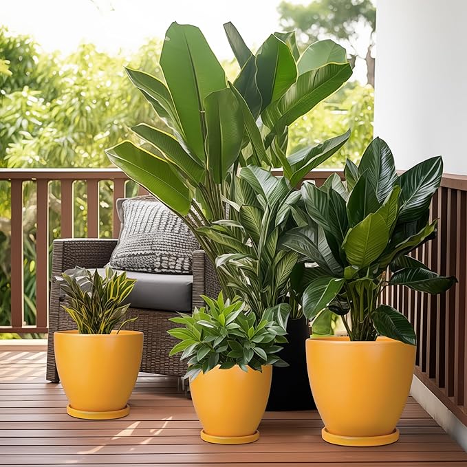 10 Inch Plant Pot