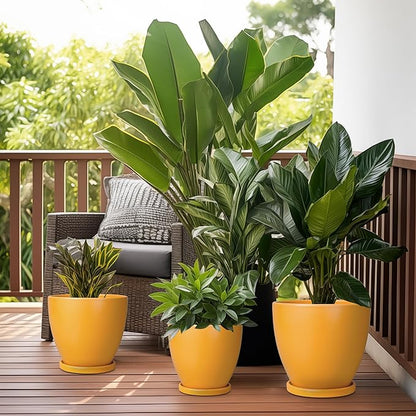 10 Inch Plant Pot