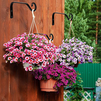4pcs Wall Mounted Plant Hanger, Indoor/Outdoor Decorative Hook